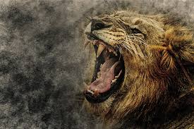 The Lion Has Roared - Songs In The Night