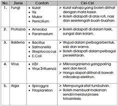 Ah as in mud (m.ah.d) ; 21 English Ideas In 2021 English Writing Writing Skills Ielts Writing