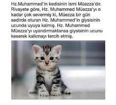 Hadis Resimlihadis Hzmuhammed Corek Otu Yagi Com Allah Islam Islam Cool Words
