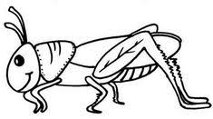 Print color and enjoy these grasshoppers coloring pages. 9 Ide Grasshopper Coloring Pictures Hewan Sketsa Gambar