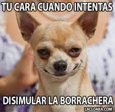 Memes De Borrachos 5 Memes De Borrachos Chistosos Borrachos Chistosos Memes Divertidos