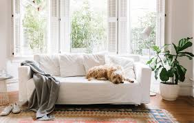 It's not on the safe plant list, and 2 palms trees are listed on the toxic plant list. Indoor Plants Safe For Cats And Dogs Bloomscape