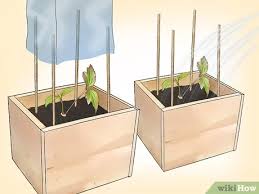 We did not find results for: How To Propagate Clematis With Pictures Wikihow