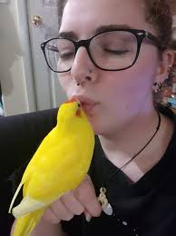 Is that a baby bird waiting for food?