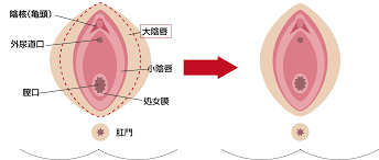 婦人科・その他 | 神奈川県の美容整形・美容外科【横浜美容クリニック】