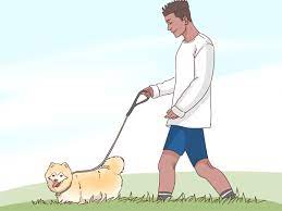 Touch her arm when you're talking, brush her hair out of her face,. 3 Ways To Attract A Cancer Woman Wikihow