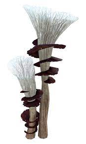 Spiral Plant Subnautica Wiki Fandom