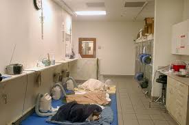 You're in good hands with allstate. Veterinary Hospital Recovery Room Veterinary Hospital Pet Clinic Veterinary