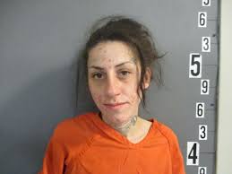 Two in custody after Webb City drug raid