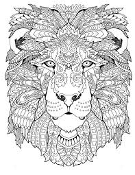 See the pink flower above? Coloring Pages