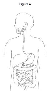 We did not find results for: G A B H P1 S1 Q6 A Elevise