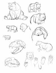 Pin By Colleen Wilson On Tattoo Ideas Animal Drawings Bear Art Bear Drawing