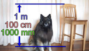 1 square meter (m2) is equal to 10000 square centimeters (cm2). Metric Length
