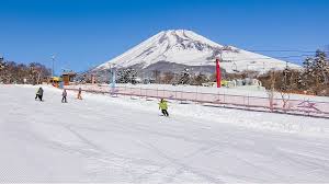 Mount Fuji Snow Town Yeti