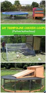 Diy Trampoline Chicken Coop Picture Instructions Huhner Huhnerstall Huhnerstall Bauen