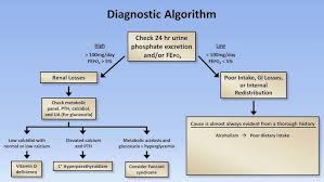 Image result for Hyperphosphatemia