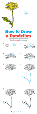 How To Draw A Dandelion Really Easy Drawing Tutorial