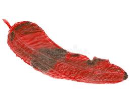 Image result for Gilbertiodendron