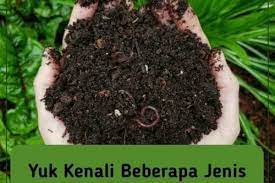 Tanah adalah bagian kerak bumi yang tersusun dari mineral dan bahan organik dan menjadi sangat penting bagi segala makhluk hidup di bumi, baik itu untuk manusia, hewan, atau tumbuhan. Mengenal 5 Jenis Dan Karakter Tanah Mana Yang Cocok Untuk Tanaman