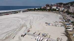 Turkey's president has promised to rescue the marmara sea from an outbreak of sea snot that is alarming marine biologists and environmentalists. Sea Snot Lingers Off Turkish Coast Despite Cleaning Efforts Daily Sabah