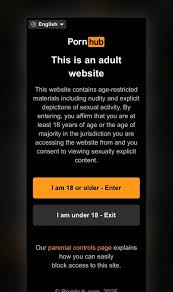 德州禁未成年看线上色情最高院支持| 生活- 加州生活网- 加州生活网