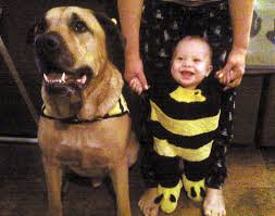 Death Of Baby Attacked By Dog Ruled Accidental Las Vegas Review Journal