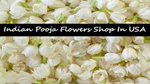 Florists in tampa florists in tampa, florida flower shops in tampa florida flower shops in tampa. Shop In Usa That Sell Flowers Near Me For Indian Pooja By Vivekflowers111 Issuu