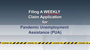 Filing A Weekly Claim For Pandemic Unemployment Assistance Pua Youtube