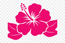 Hawaiian Flower Cartoon Black And White Hibiscus Clipart Free Transparent Png Clipart Images Download Pin the clipart you like. hawaiian flower cartoon black and