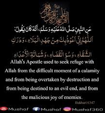 Pin By Abi Shah On Islamic Impressions Holy Quran Hadith Of The Day Hadith