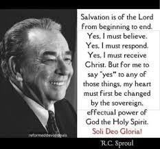 Over the years I discover that Christ sheep is not offended by the voice of  God