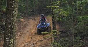 Then you come off to the right place to have the yfm 350 wiring diagram. Download Yamaha Grizzly 350 Repair Manual