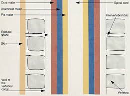 A Review Of The Uses Of Epidural Analgesia