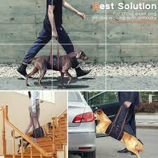 Pin On Dog Carriers Travel