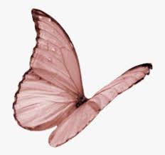 Search more hd transparent butterfly image on kindpng. Butterfly Clipart Glitter Glitter Butterfly Png Free Transparent Clipart Clipartkey