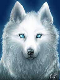 White wolf lodge (beech mountain), a ski lodge on beech mountain, north carolina. Cute Anime Black And White Wolf Novocom Top
