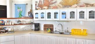 The sink is one of the most significant parts of the kitchen and it is the even though plenty of cheap kitchens sink available in the ground, many people prefer our glass sink we also have other newest and trendy appeal of the white sink. Wildflower Villa Island Properties For Sale Palm Island Palm Island The Grenadines