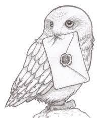 Image Result For Harry Potter Hedwig Dessin Harry Potter Art Dessin Dessins Disney