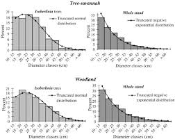 Image result for Isoberlinia tomentosa