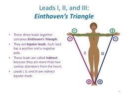 Ecg Leads In A 12 Lead Ecg Led Ekg Positivity