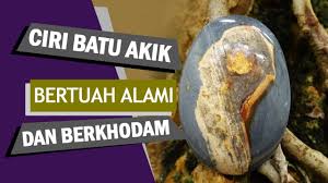 Uji batuan mengandung emas batuan emas pengolahan tutorial. Ciri Batu Akik Berkhodam Dan Bertuah Alami Tanda Yang Mudah Dilihat