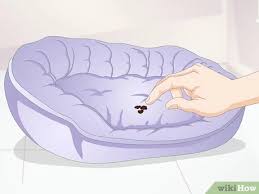 Underdog's orthopedic dog bed is covered with a high quality, super durable antimicrobial microsuede fabric. How To Clean A Dog Bed 15 Steps With Pictures Wikihow
