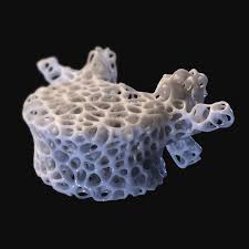 Spine L4 Bone Voronoi 3d Halloween 3d 3d Model Spines