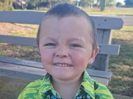 Boy, 4, who tried to protect his siblings in shed fire has died