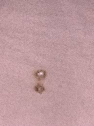 are these bed bugs or just dirt? and it looks like the mattress has shiny sand around it (so small i can't take a good pic), can they be some eggs?!? :