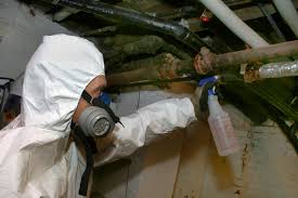 We did not find results for: Asbestos Removal Dangers Costs Asbestos Removal