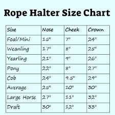 Rope Training Halters Free Shipping On All Orders