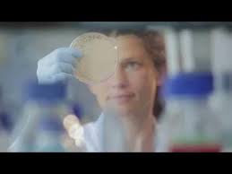 Über Tierversuche sprechen