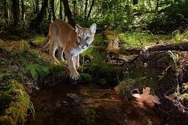 Public Correspondence