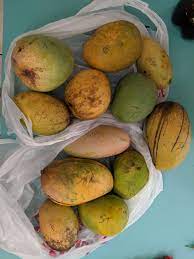 Zill is a haden seedling selected in lake worth , florida in 1940. I Tasted 8 Different Mango Varieties Several New Zill Crosses These Are The Results Mangos